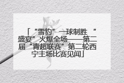 “雪豹”一球制胜 “盛宴”火爆全场——第二届“青超联赛”第二轮西宁主场比赛见闻