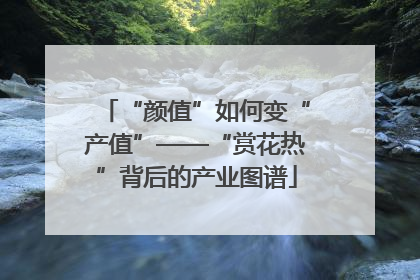 “颜值”如何变“产值”——“赏花热”背后的产业图谱
