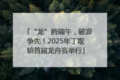 “龙”腾端午，破浪争先！2025年丁堰镇首届龙舟赛举行