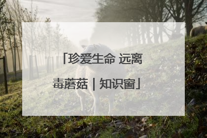 珍爱生命 远离毒蘑菇｜知识窗