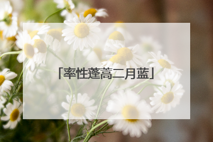 率性蓬蒿二月蓝