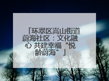 环翠区嵩山街道蔚海社区：文化融心 共建幸福“悦龄蔚海”