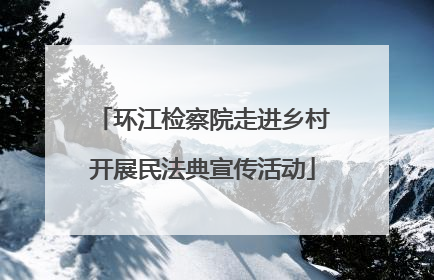 环江检察院走进乡村开展民法典宣传活动