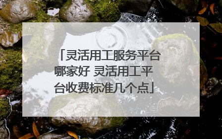 灵活用工服务平台哪家好 灵活用工平台收费标准几个点