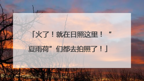 火了！就在日照这里！“夏雨荷”们都去拍照了！