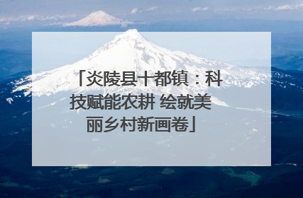 炎陵县十都镇：科技赋能农耕 绘就美丽乡村新画卷
