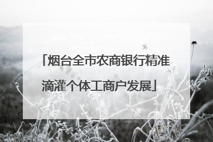 烟台全市农商银行精准滴灌个体工商户发展