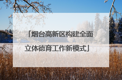 烟台高新区构建全面立体德育工作新模式