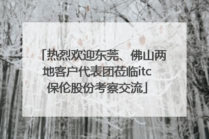 热烈欢迎东莞、佛山两地客户代表团莅临itc保伦股份考察交流