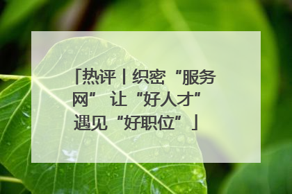 热评丨织密“服务网” 让“好人才”遇见“好职位”
