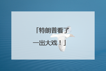 特朗普看了一出大戏！