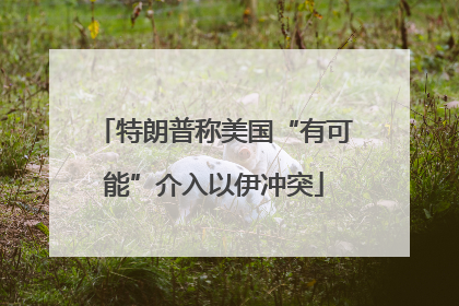 特朗普称美国“有可能”介入以伊冲突