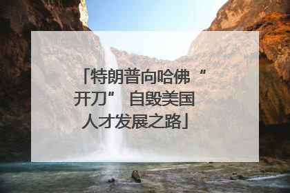 特朗普向哈佛“开刀” 自毁美国人才发展之路