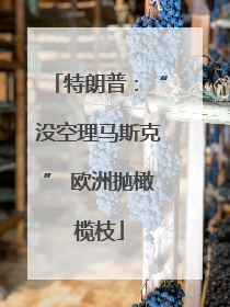特朗普：“没空理马斯克” 欧洲抛橄榄枝