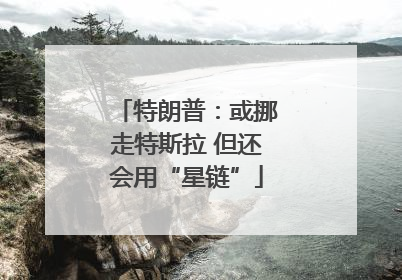 特朗普：或挪走特斯拉 但还会用“星链”