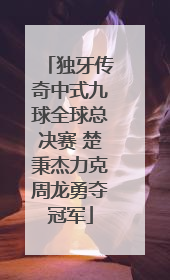 独牙传奇中式九球全球总决赛 楚秉杰力克周龙勇夺冠军