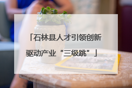石林县人才引领创新驱动产业“三级跳”