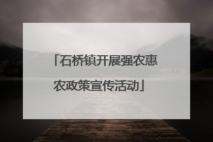 石桥镇开展强农惠农政策宣传活动