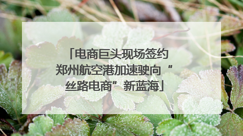 电商巨头现场签约 郑州航空港加速驶向“丝路电商”新蓝海