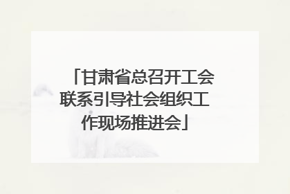 甘肃省总召开工会联系引导社会组织工作现场推进会