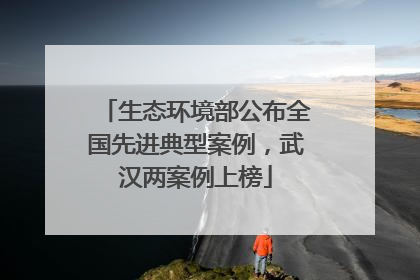 生态环境部公布全国先进典型案例，武汉两案例上榜