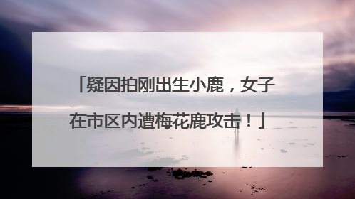 疑因拍刚出生小鹿，女子在市区内遭梅花鹿攻击！