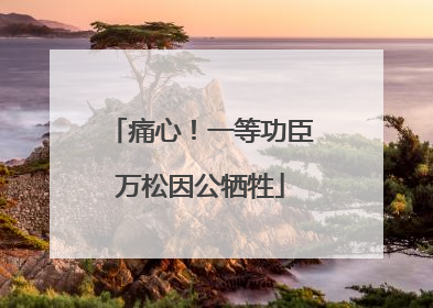痛心！一等功臣万松因公牺牲