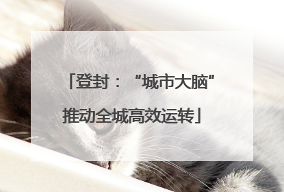 登封：“城市大脑”推动全城高效运转