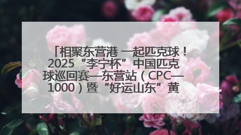 相聚东营港 一起匹克球！2025“李宁杯”中国匹克球巡回赛—东营站（CPC—1000）暨“好运山东”黄河口匹克球公开赛落幕