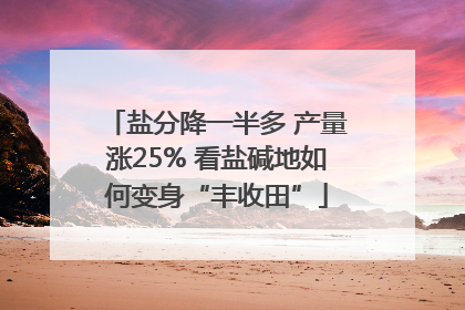 盐分降一半多 产量涨25% 看盐碱地如何变身“丰收田”
