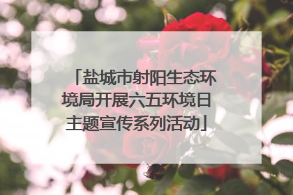 盐城市射阳生态环境局开展六五环境日主题宣传系列活动