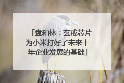 盘和林：玄戒芯片为小米打好了未来十年企业发展的基础