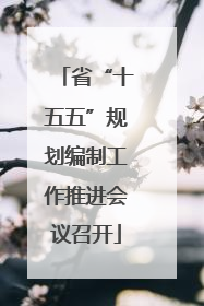 省“十五五”规划编制工作推进会议召开