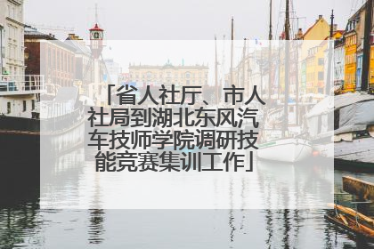 省人社厅、市人社局到湖北东风汽车技师学院调研技能竞赛集训工作
