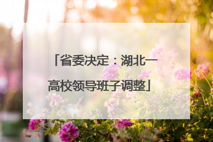 省委决定：湖北一高校领导班子调整