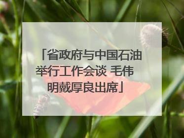 省政府与中国石油举行工作会谈 毛伟明戴厚良出席