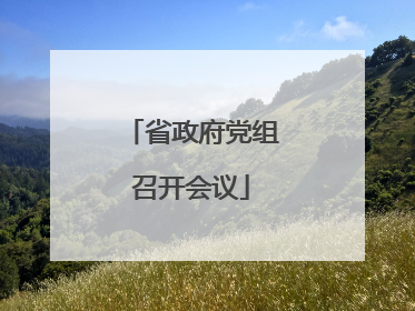 省政府党组召开会议