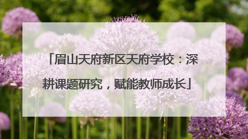 眉山天府新区天府学校：深耕课题研究，赋能教师成长
