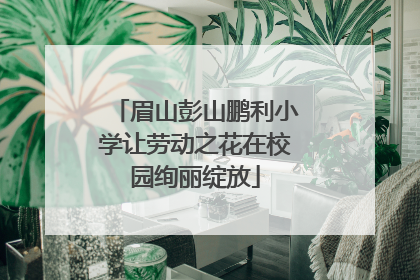 眉山彭山鹏利小学让劳动之花在校园绚丽绽放