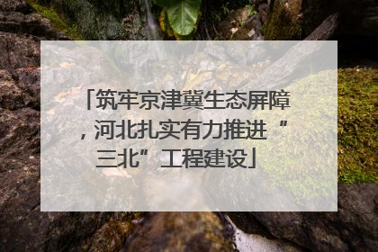 筑牢京津冀生态屏障，河北扎实有力推进“三北”工程建设