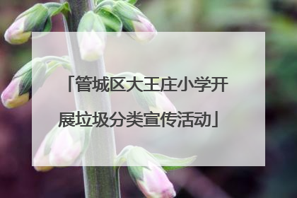管城区大王庄小学开展垃圾分类宣传活动