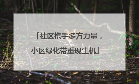 社区携手多方力量，小区绿化带重现生机