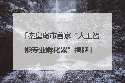 秦皇岛市首家“人工智能专业孵化器”揭牌