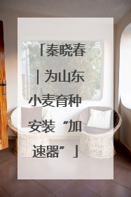 秦晓春｜为山东小麦育种安装“加速器”
