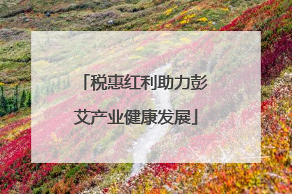税惠红利助力彭艾产业健康发展