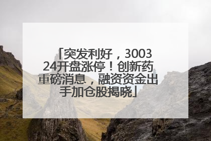 突发利好，300324开盘涨停！创新药重磅消息，融资资金出手加仓股揭晓
