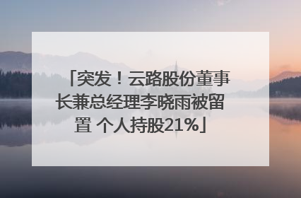 突发！云路股份董事长兼总经理李晓雨被留置 个人持股21%