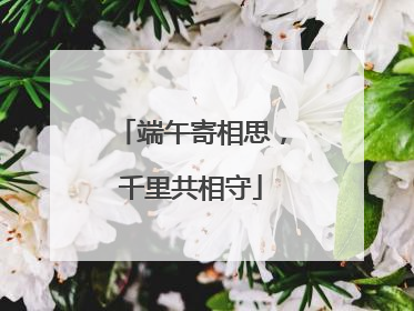 端午寄相思，千里共相守