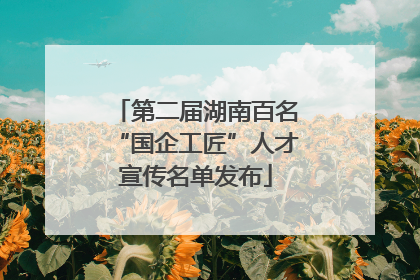 第二届湖南百名“国企工匠”人才宣传名单发布