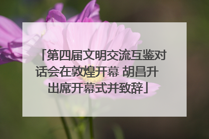 第四届文明交流互鉴对话会在敦煌开幕 胡昌升出席开幕式并致辞